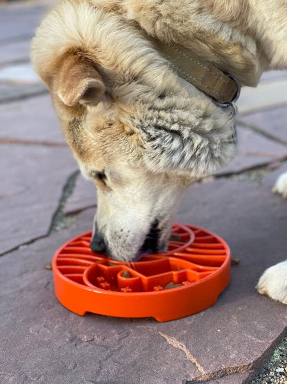 Sun & Moon eTray Slow Feeder Dog Bowl – Shallow Enrichment Tray