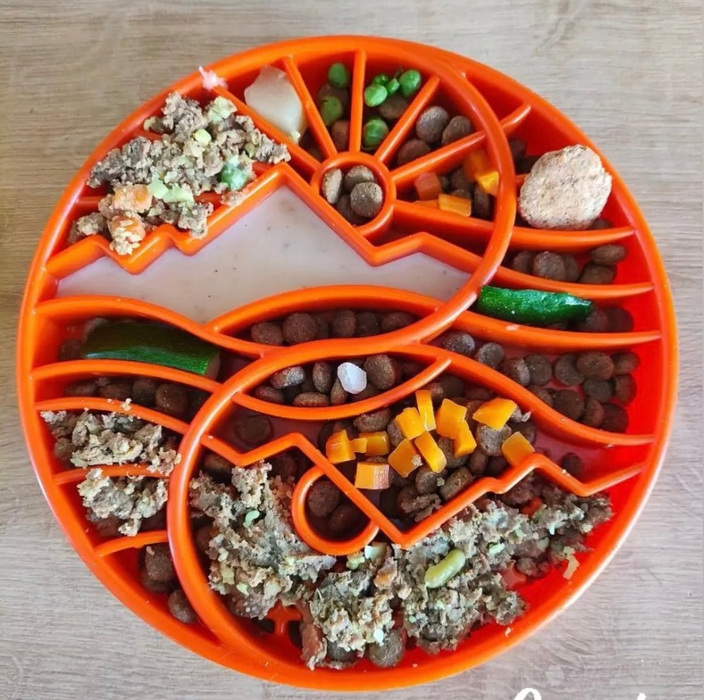 Sun & Moon eTray Slow Feeder Dog Bowl – Shallow Enrichment Tray