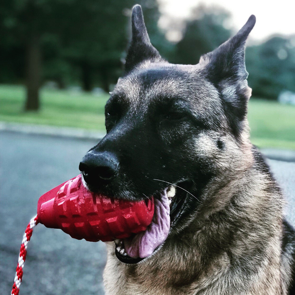 SodaPup Grenade Dog Toy – Chew, Treat Dispenser & Tug Toy