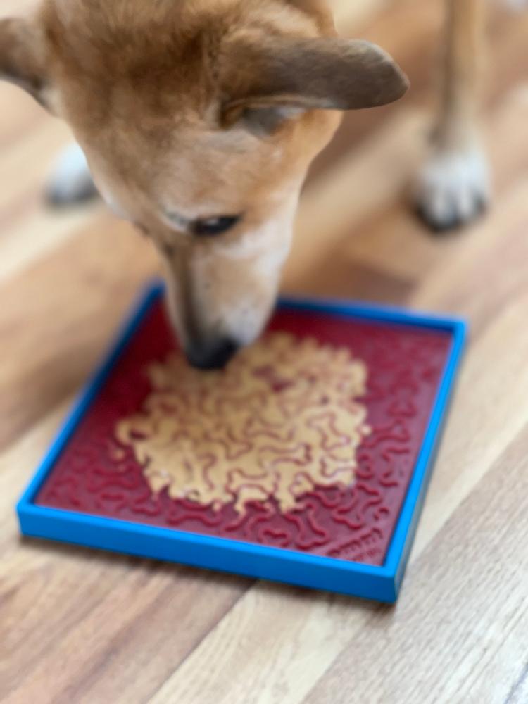 SodaPup Hold ’em Suction Cup Holder – Dog Bowl & Lick Mat Stabilizer