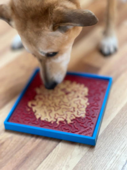 SodaPup Hold ’em Suction Cup Holder – Dog Bowl & Lick Mat Stabilizer