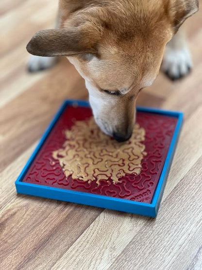 SodaPup Hold ’em Suction Cup Holder – Dog Bowl & Lick Mat Stabilizer