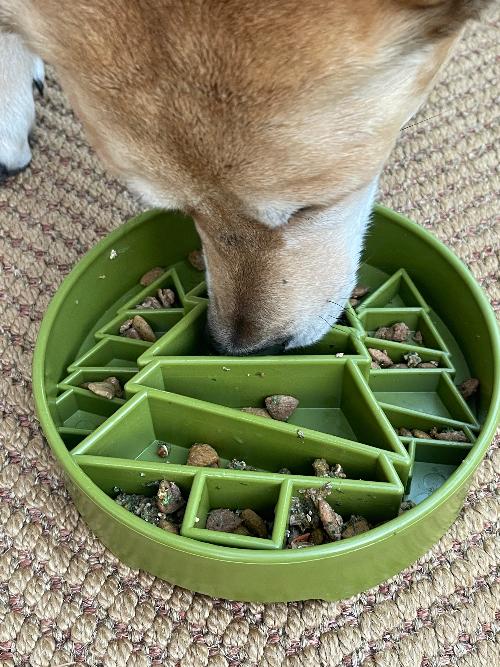 Pine Tree eBowl Slow Feeder Dog Bowl – Christmas Enrichment Bowl