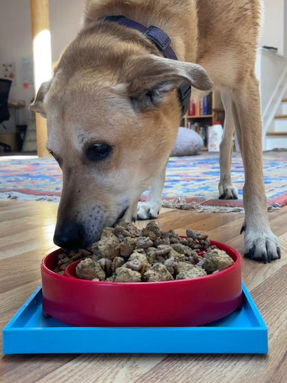SodaPup Hold ’em Suction Cup Holder – Dog Bowl & Lick Mat Stabilizer