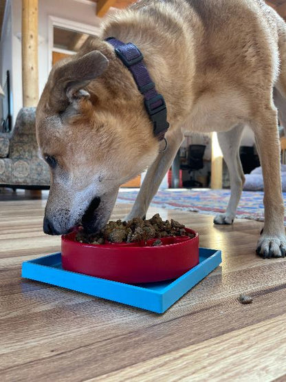 SodaPup Hold ’em Suction Cup Holder – Dog Bowl & Lick Mat Stabilizer
