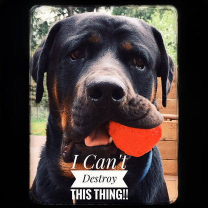 WUNDERball Fetch Toy – Natural Rubber Dog Ball