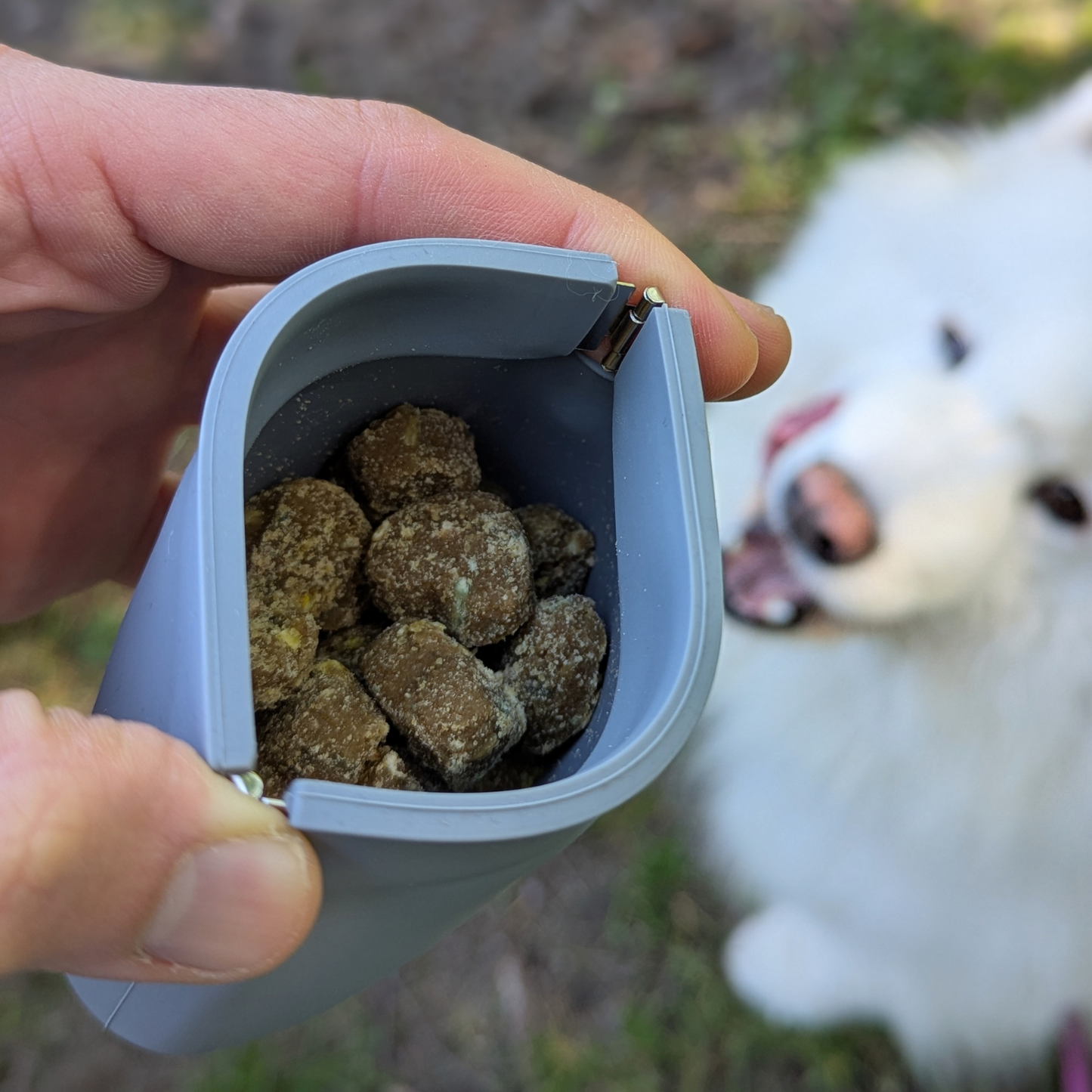 One-Hand Dog Treat Training Pouch – Zipless Silicone Treat Holder