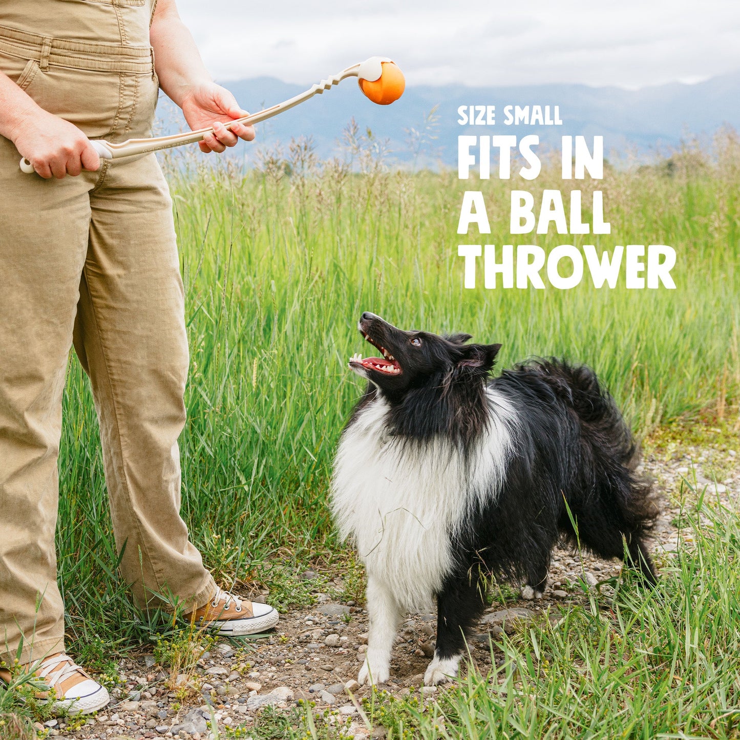 West Paw Jive Dog Ball – Tough Fetch Toy for Strong Chewers