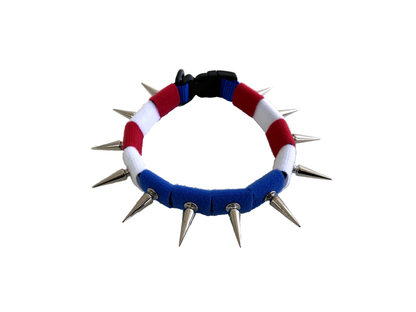 CoyoteCollar Spiked Dog Collar – Adjustable Neck Protection