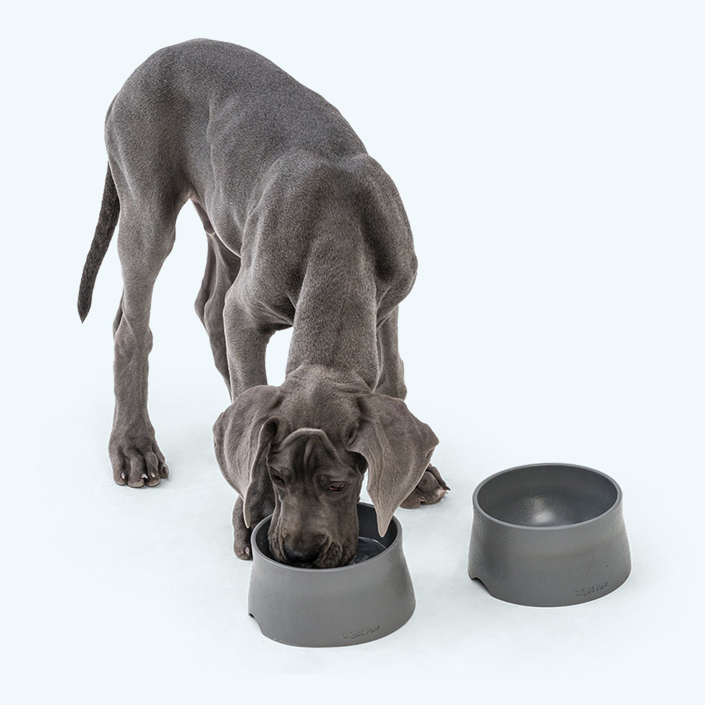 West Paw Non-Slip Dog Bowl – Seaflex® Feeding Bowl