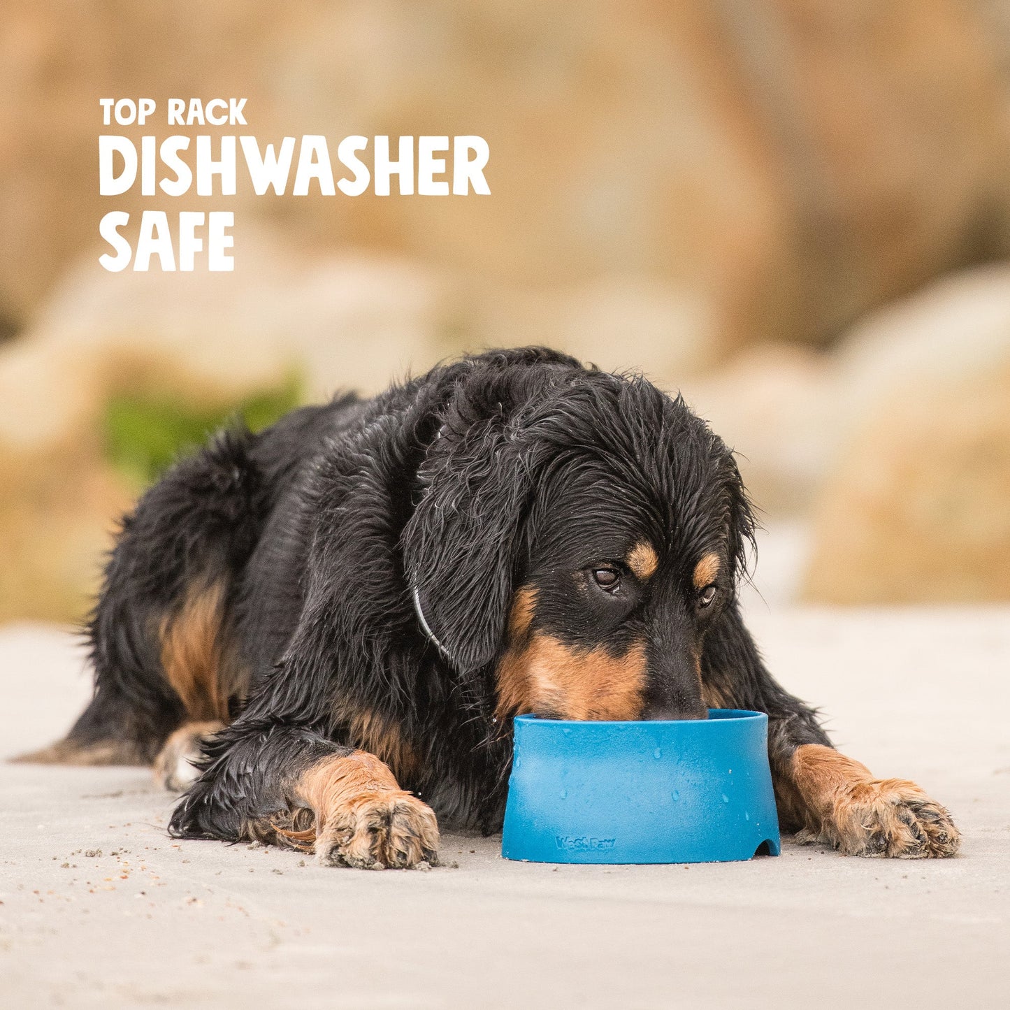 West Paw Non-Slip Dog Bowl – Seaflex® Feeding Bowl