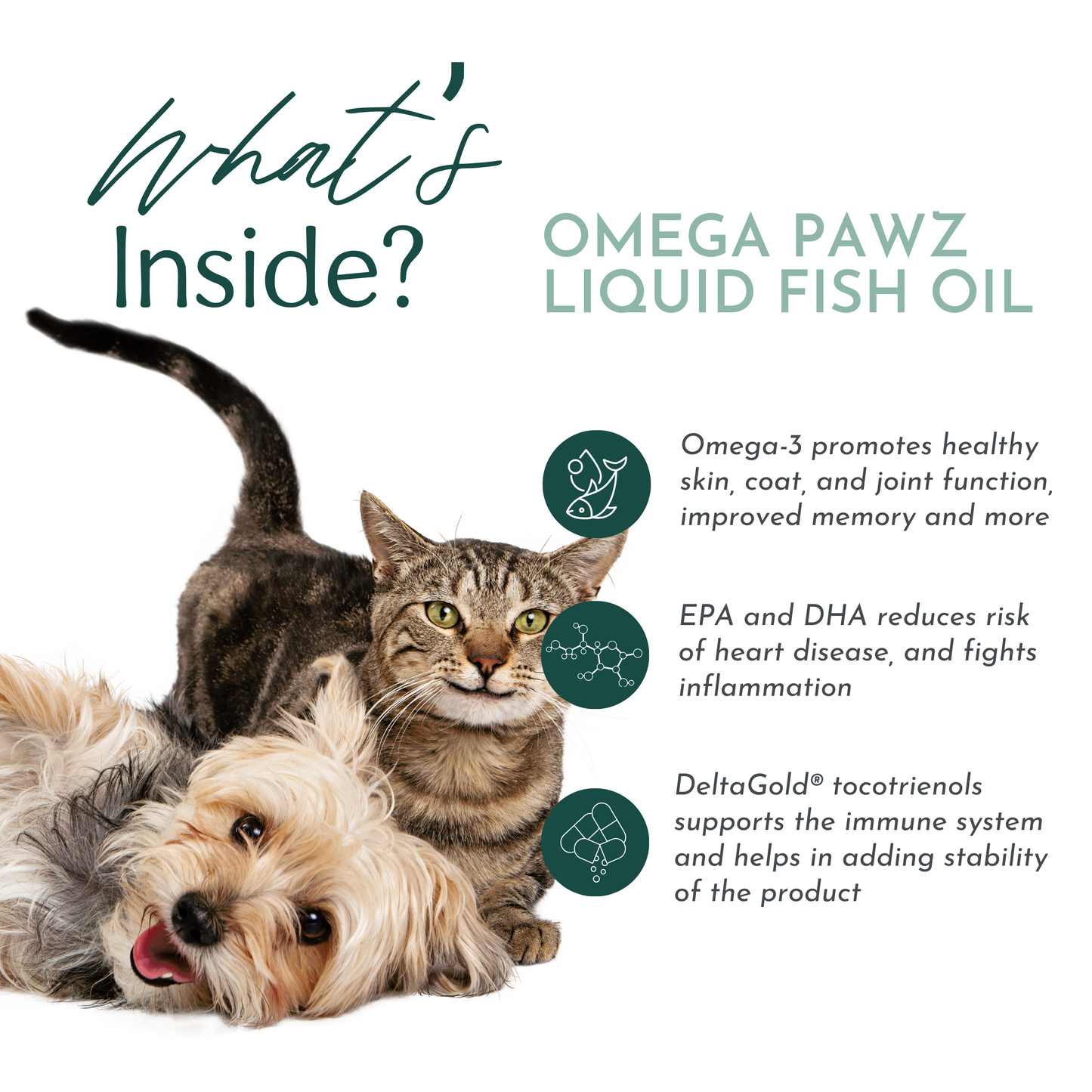 Omega Pawz Liquid Omega-3 Oil for Dogs & Cats