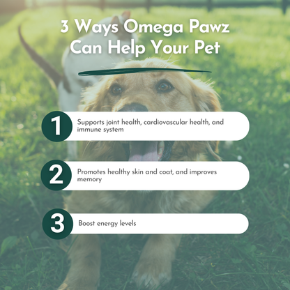 Omega Pawz Liquid Omega-3 Oil for Dogs & Cats