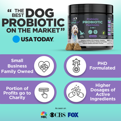 Googipet 3-in-1 Probiotic Chews for Dogs – Gut Health Support