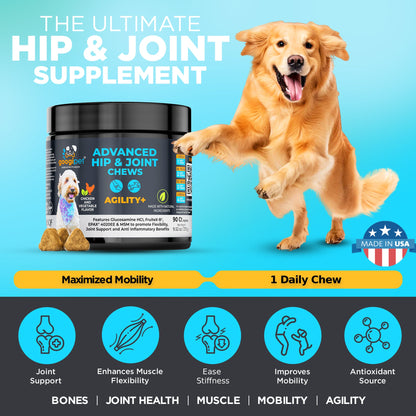 Googipet Agility+ Hip & Joint Chews for Dogs