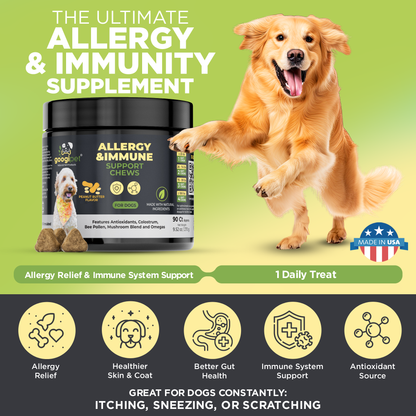 Googipet Allergy & Immune Support Chews for Dogs – Peanut Butter