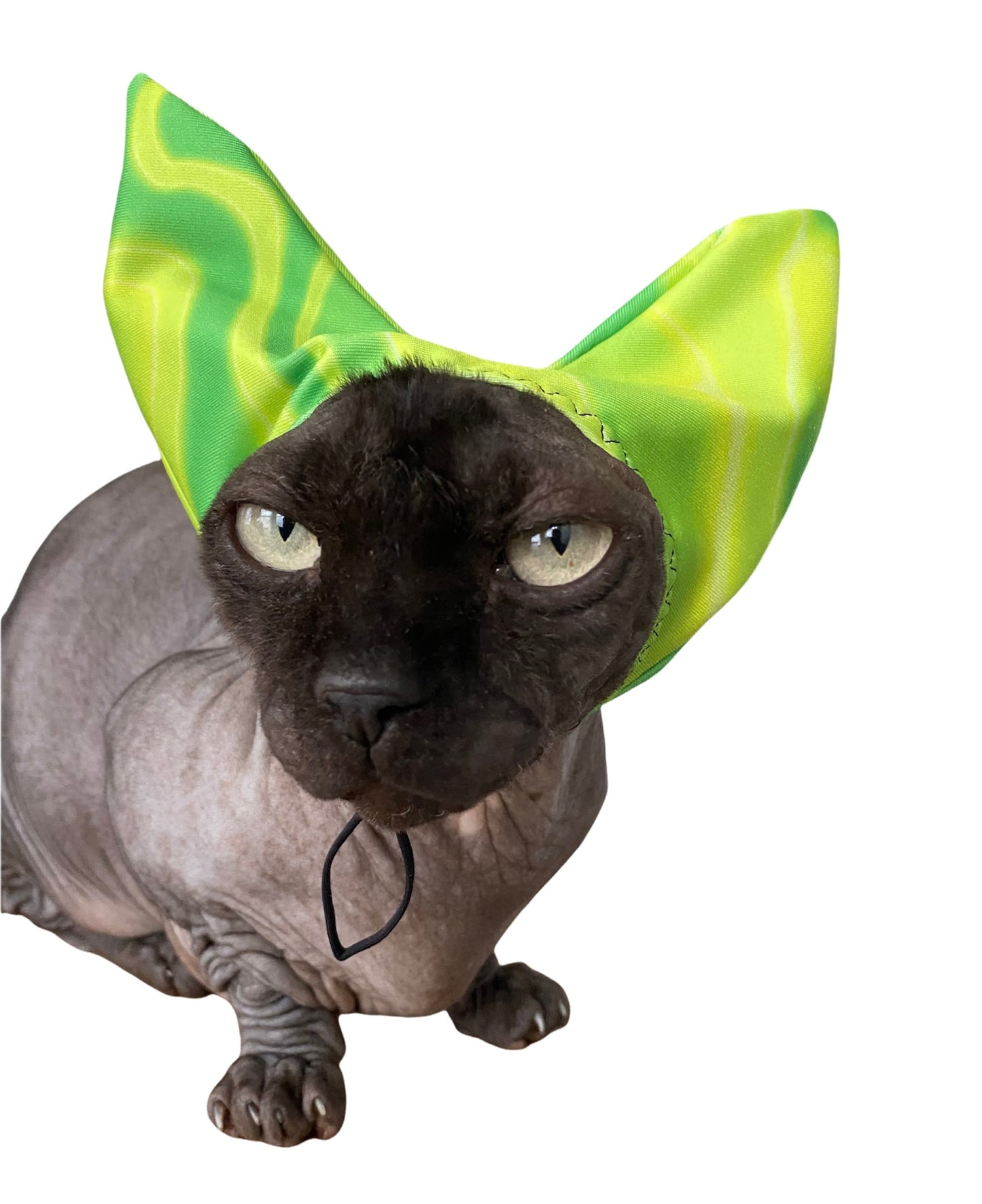 ReNewedPet Shower, Ear & Sun Cap