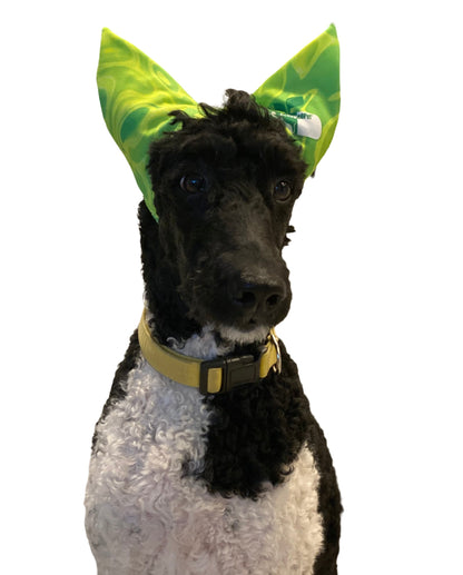ReNewedPet Shower, Ear & Sun Cap