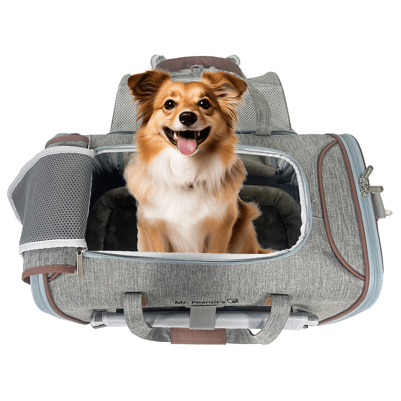 Mr. Peanut’s Gold Series V3.0 Expandable Pet Carrier – FAA Airline-Friendly Travel Carrier