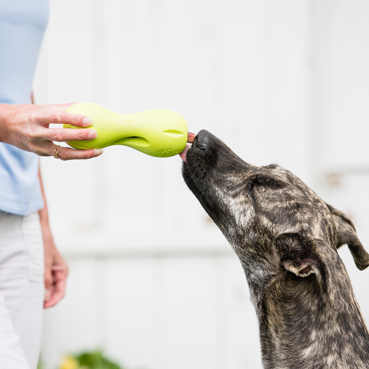 West Paw Qwizl Treat Toy – Tough Chew Toy
