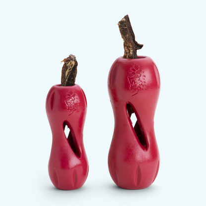 West Paw Qwizl Treat Toy – Tough Chew Toy