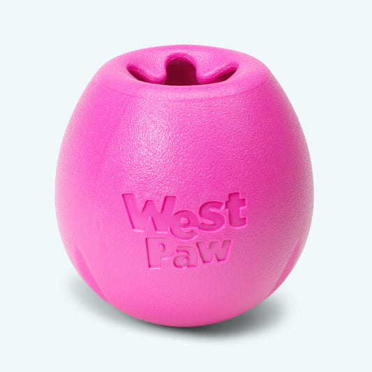 West Paw Rumbl Treat Dispensing Bouncy Puzzle Toy