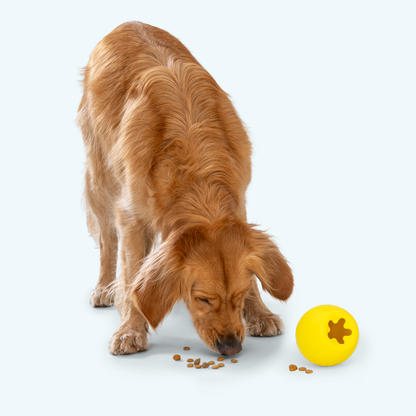 West Paw Rumbl Treat Dispensing Bouncy Puzzle Toy