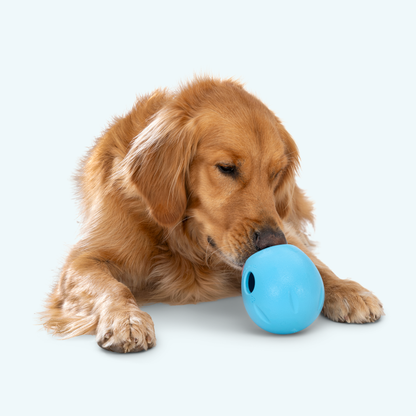 West Paw Rumbl Treat Dispensing Bouncy Puzzle Toy
