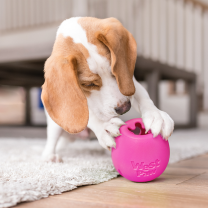 West Paw Rumbl Treat Dispensing Bouncy Puzzle Toy