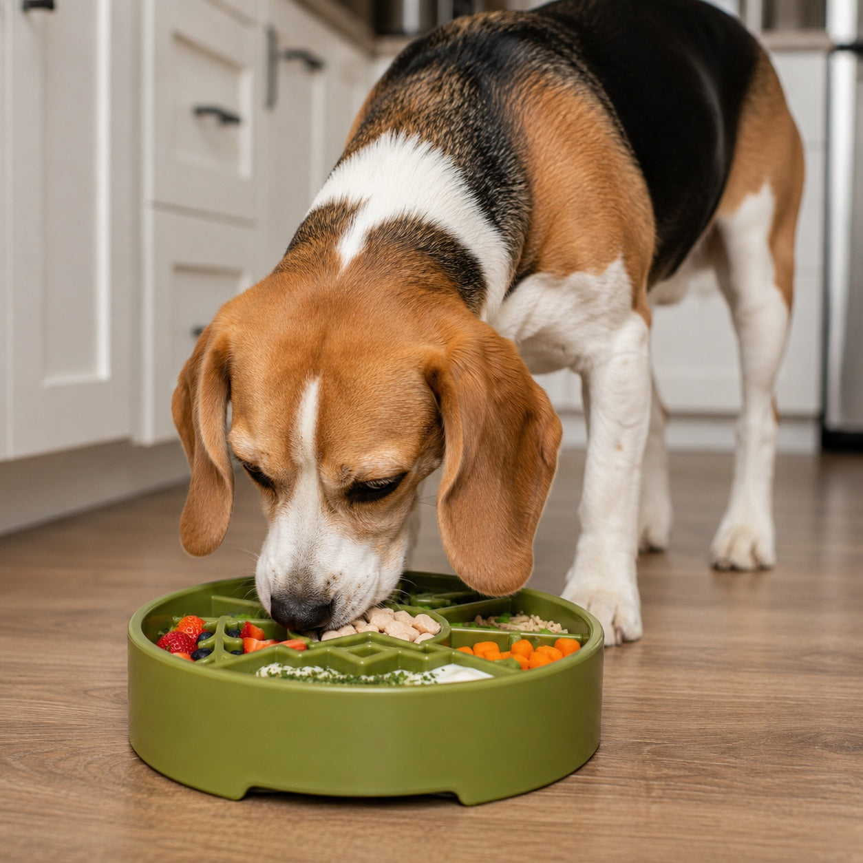 SodaPup Great Outdoors eBowl – Slow Feeder & Enrichment Dog Bowl