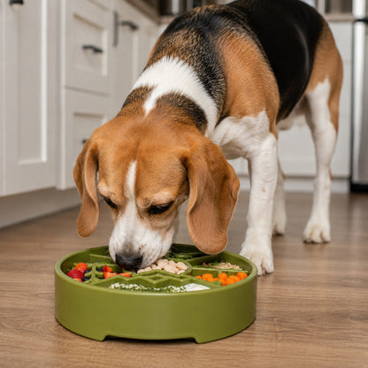 SodaPup Great Outdoors eBowl – Slow Feeder & Enrichment Dog Bowl