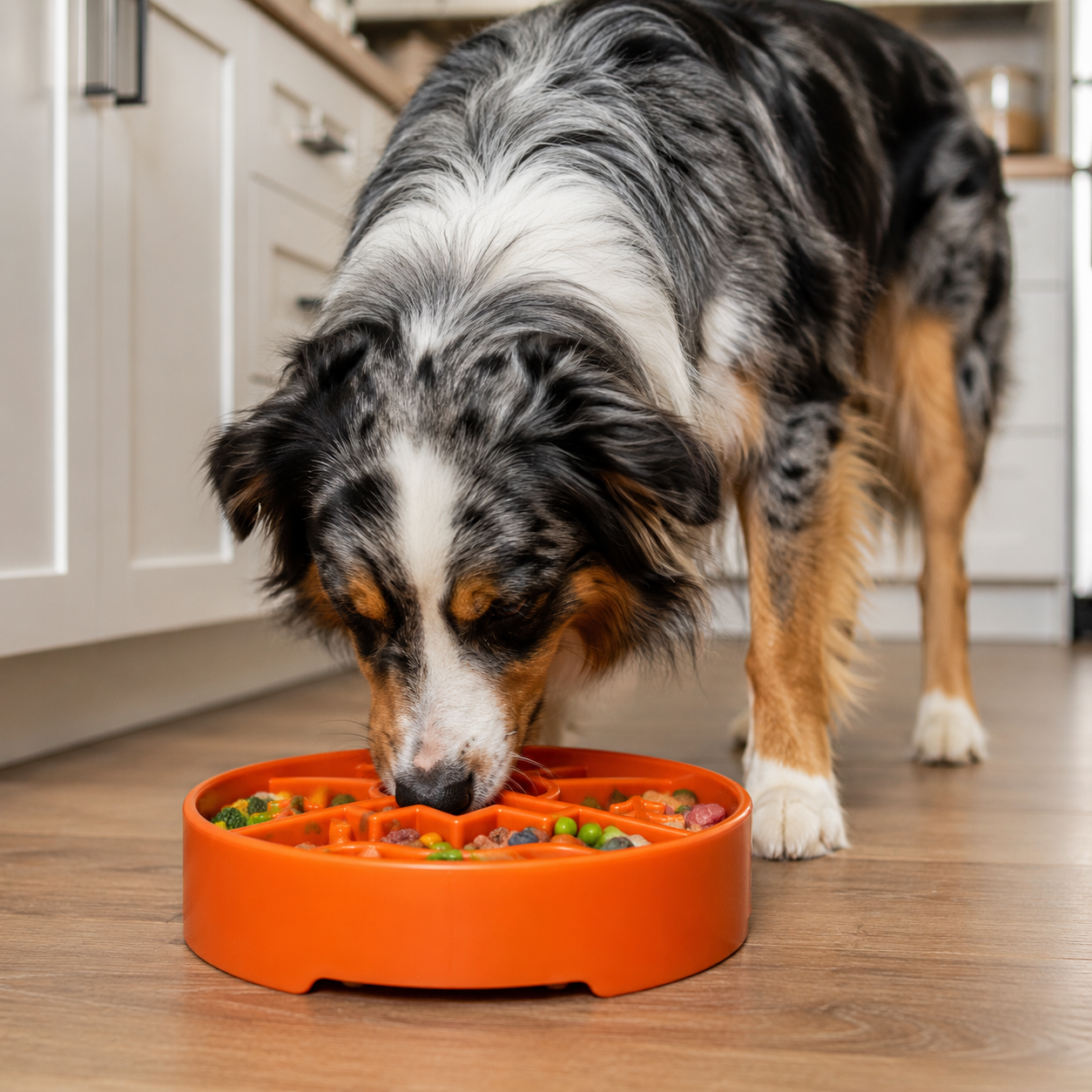 SodaPup Great Outdoors eBowl – Slow Feeder & Enrichment Dog Bowl