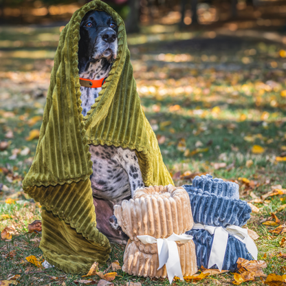 HuggleHounds Scout Blankie Double-Sided Plush Dog Blanket