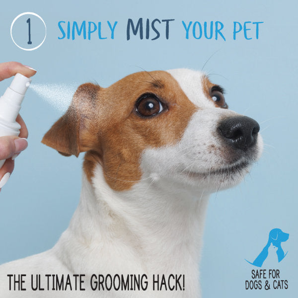Pet Waterless Shampoo + Conditioner