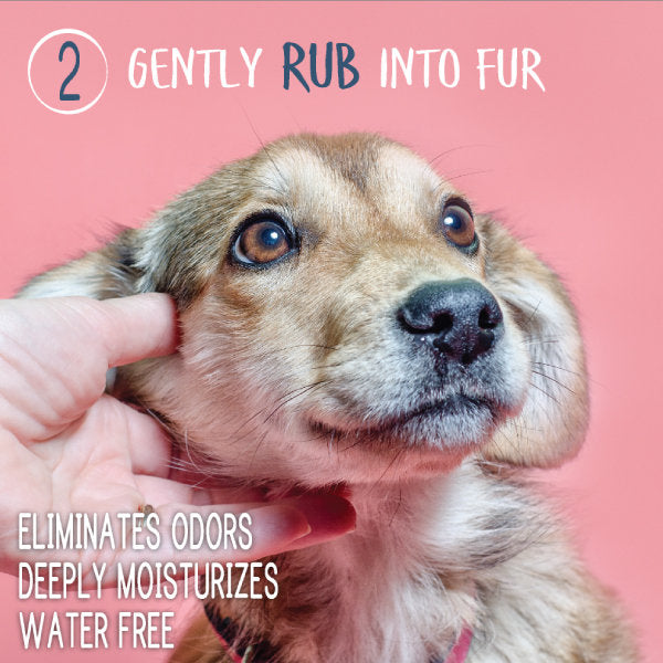 Pet Waterless Shampoo + Conditioner