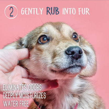 Pet Waterless Shampoo + Conditioner