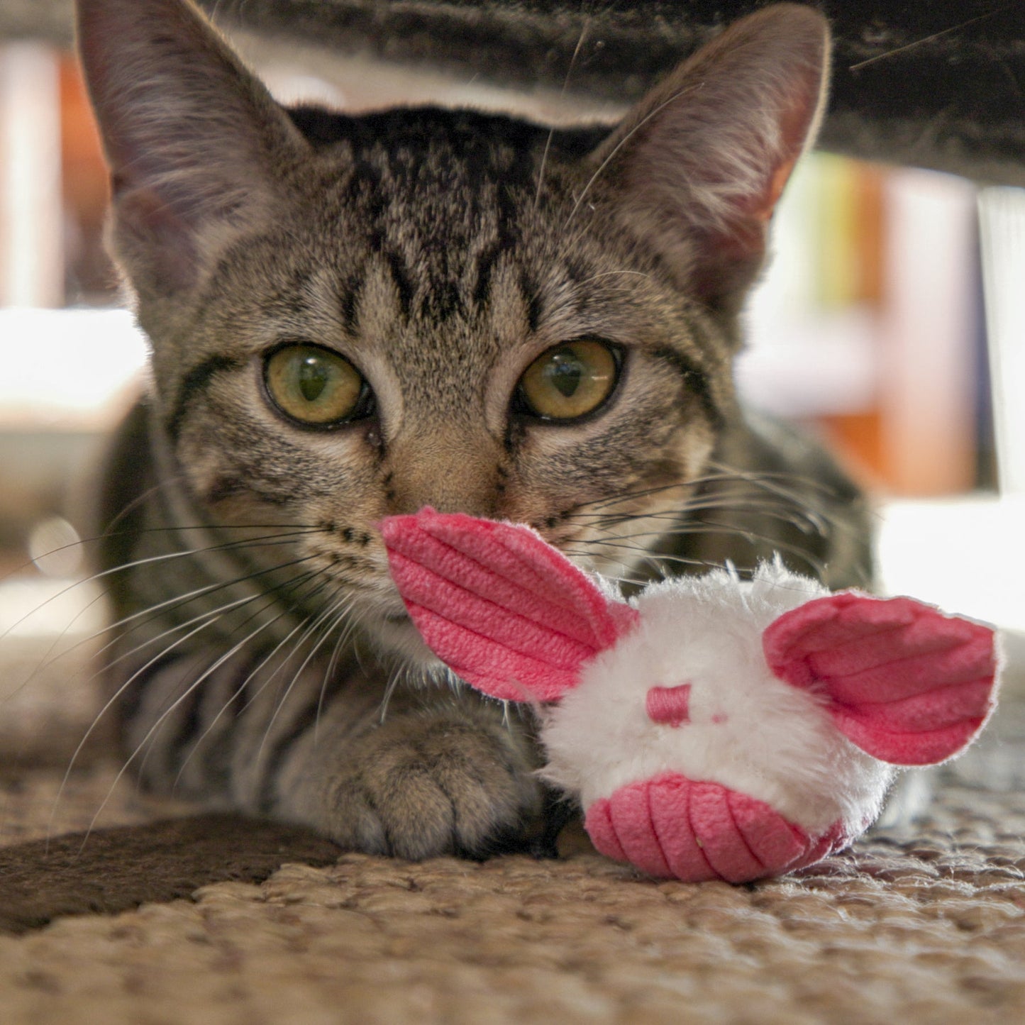 HuggleHounds HuggleKats Dust Bunnies Cat Toys, 3-Pack
