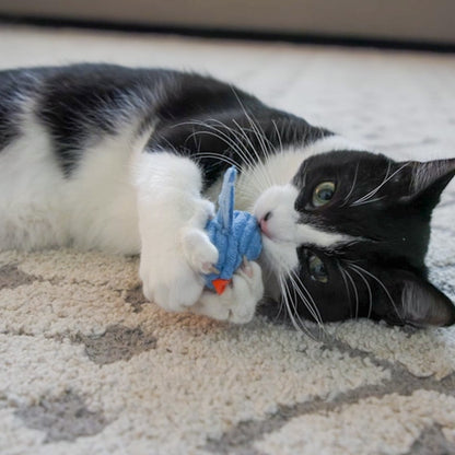 HuggleHounds HuggleKats Chickies Cat Toys, 3-Pack