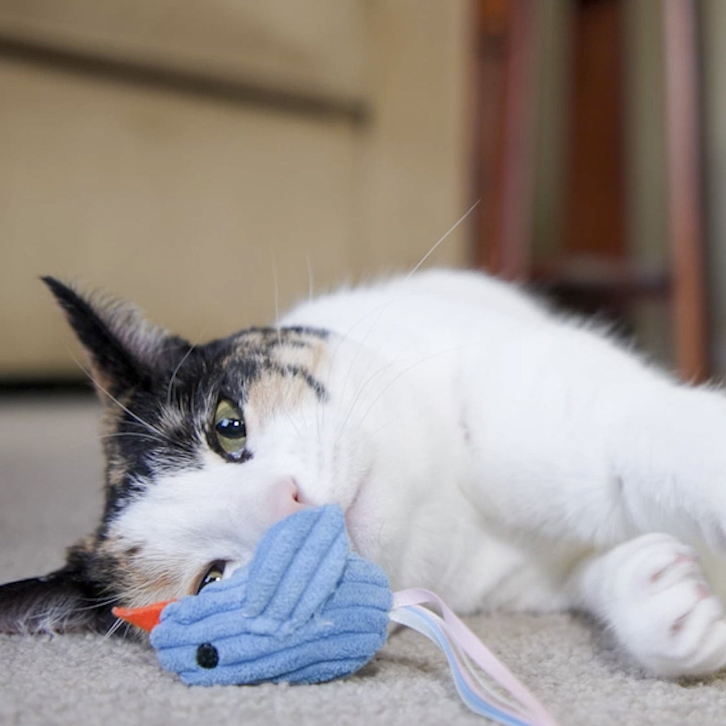 HuggleHounds HuggleKats Chickies Cat Toys, 3-Pack