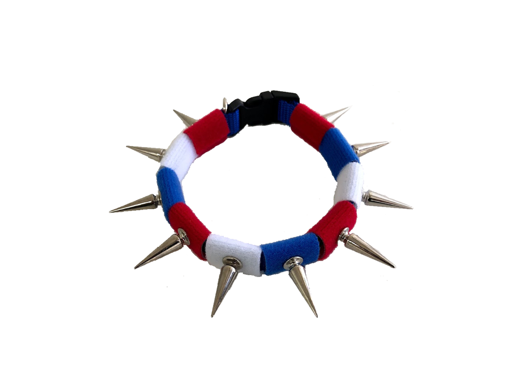 CoyoteCollar Spiked Dog Collar – Adjustable Neck Protection