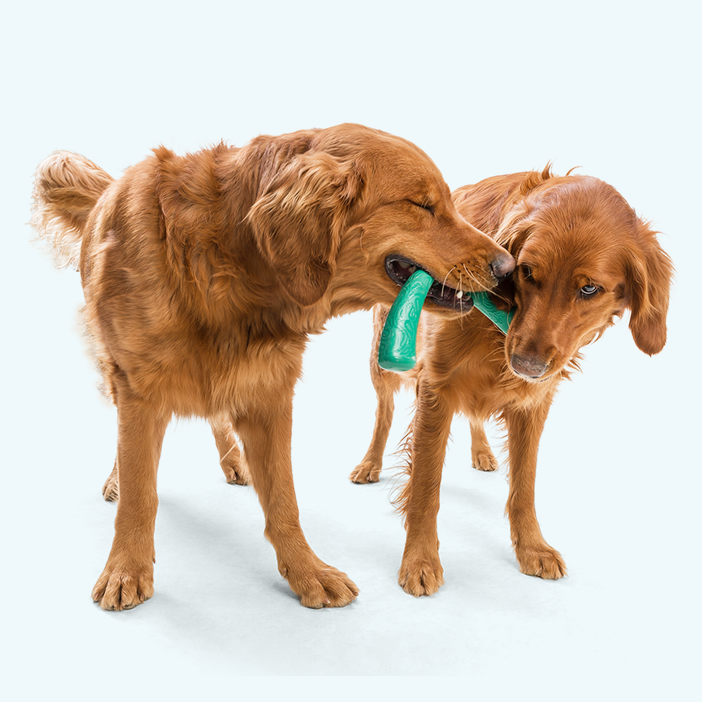 West Paw Snorkl Dog Tug Toy – For Moderate Chewers