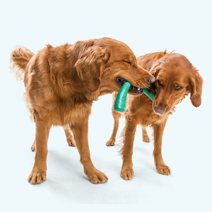 West Paw Snorkl Dog Tug Toy – For Moderate Chewers