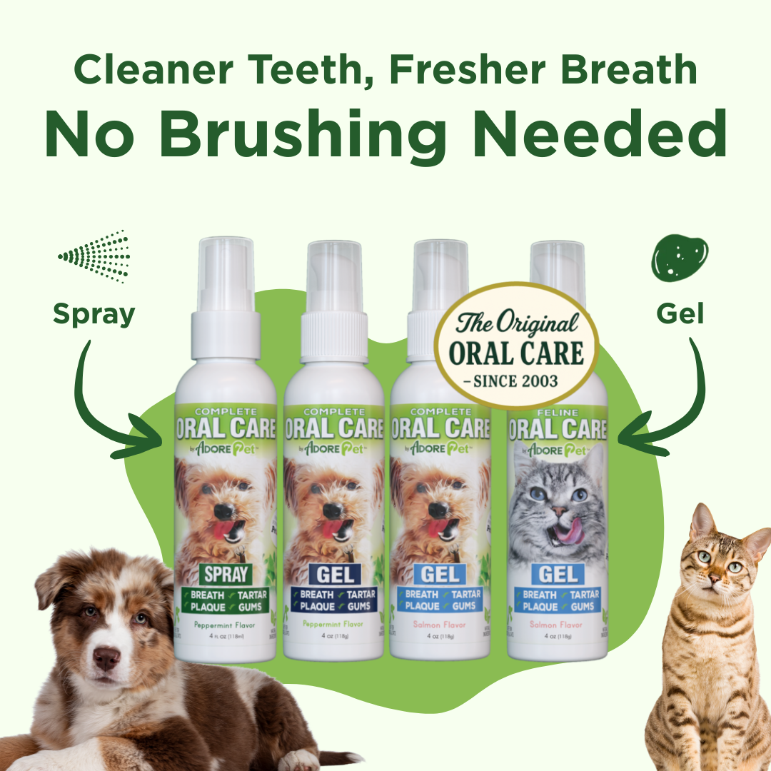 Pet Oral Care Spray