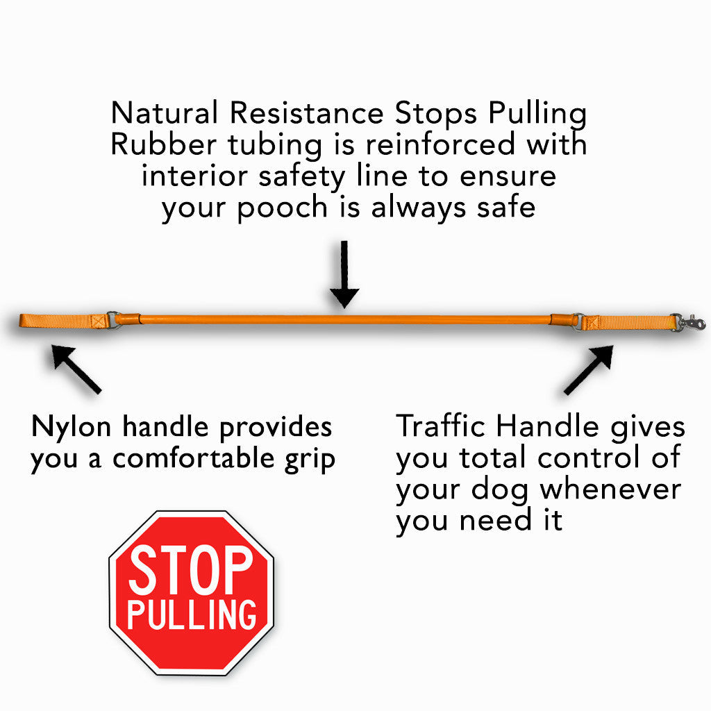 WUNDERleash No-Pull Dog Leash – Shock-Absorbing Walking Leash