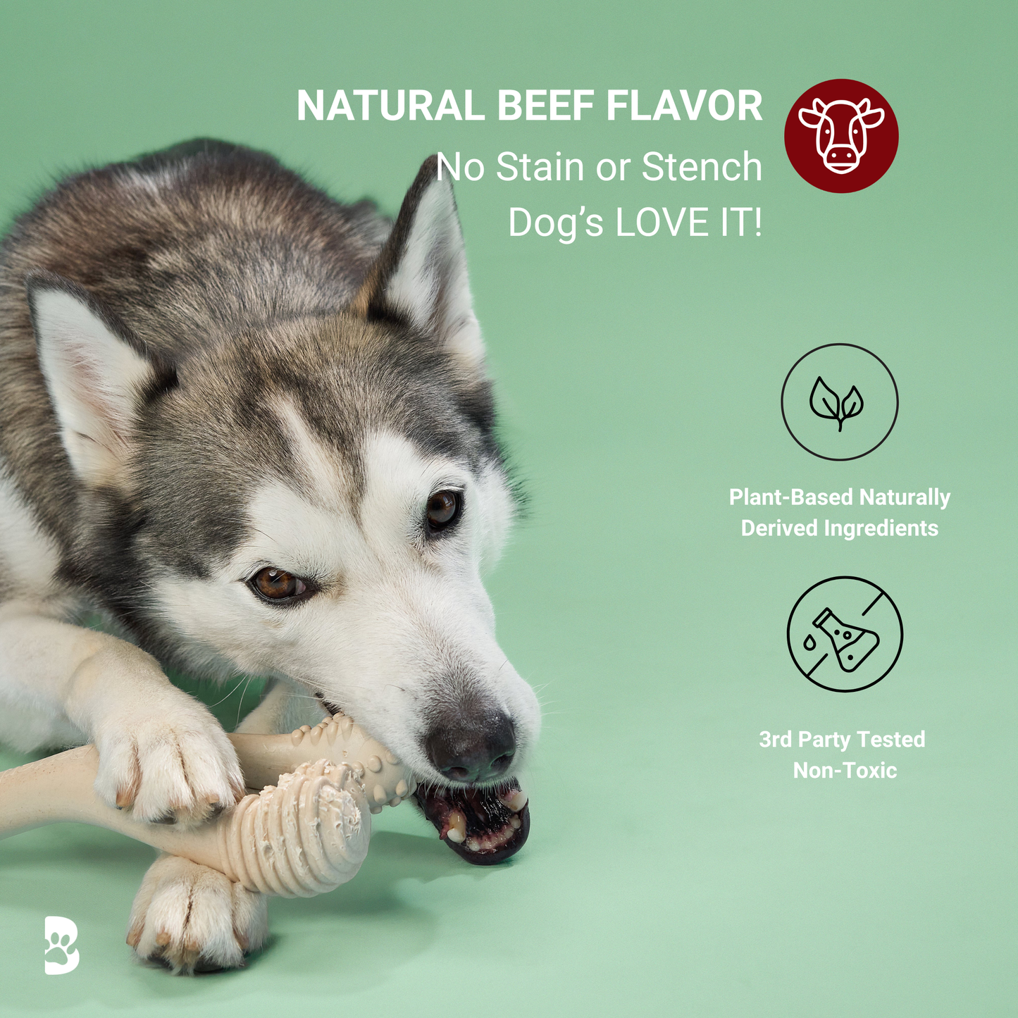 BetterBone Chew Toy (Moderate)
