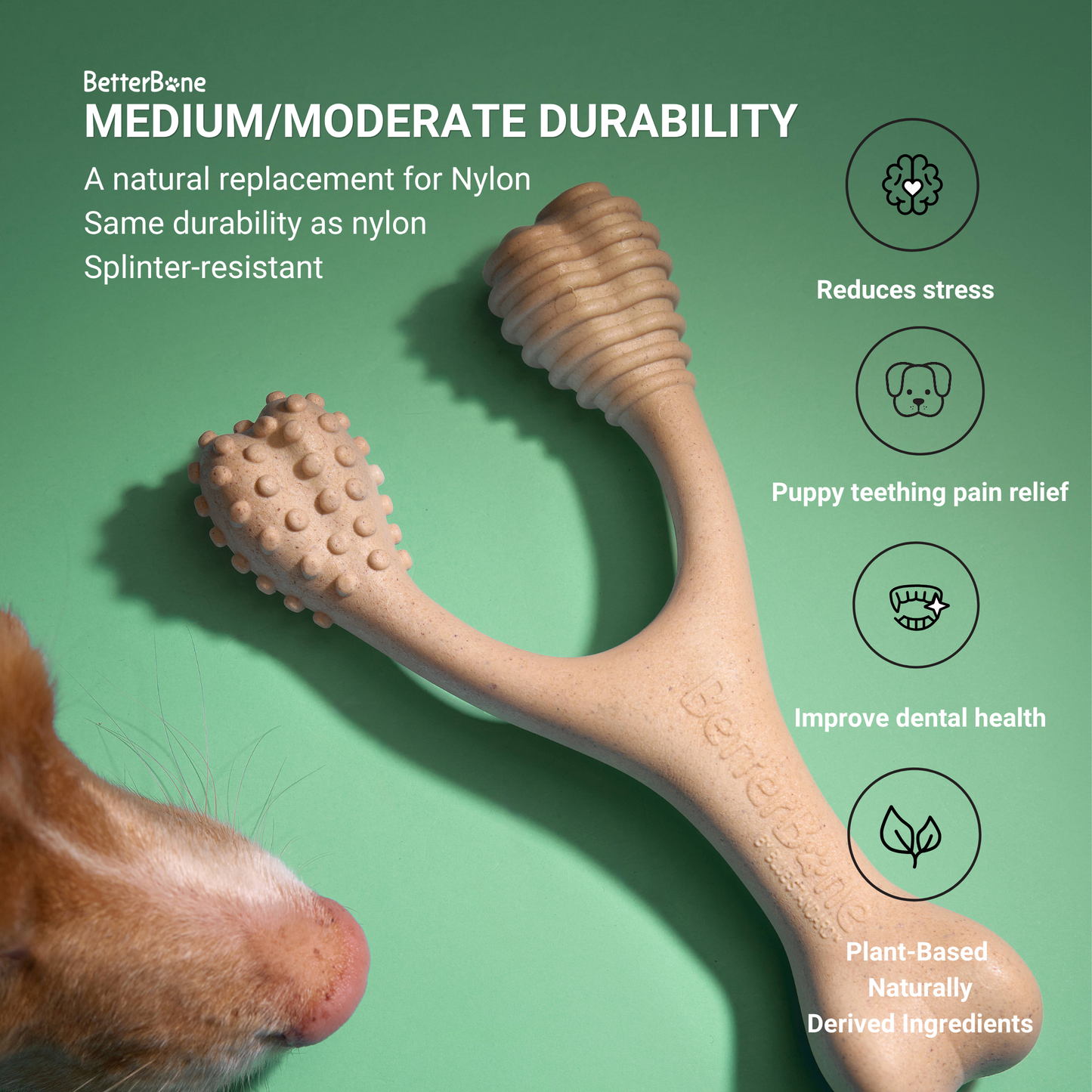 BetterBone Chew Toy (Moderate)
