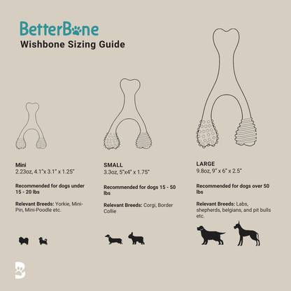 BetterBone Chew Toy (Moderate)