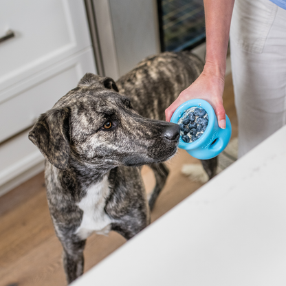 West Paw Toppl Treat Toy – Puzzle Feeder for Moderate Chewers