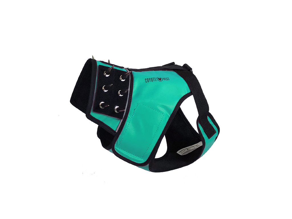 SpikeHarness Dog Harness – Spiked Neck Protection