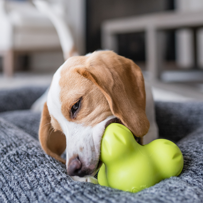 Tux Treat Toy – Tough Puzzle Toy for Dogs